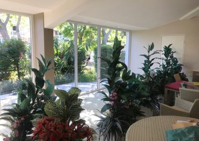 uPVC Fixed Windows